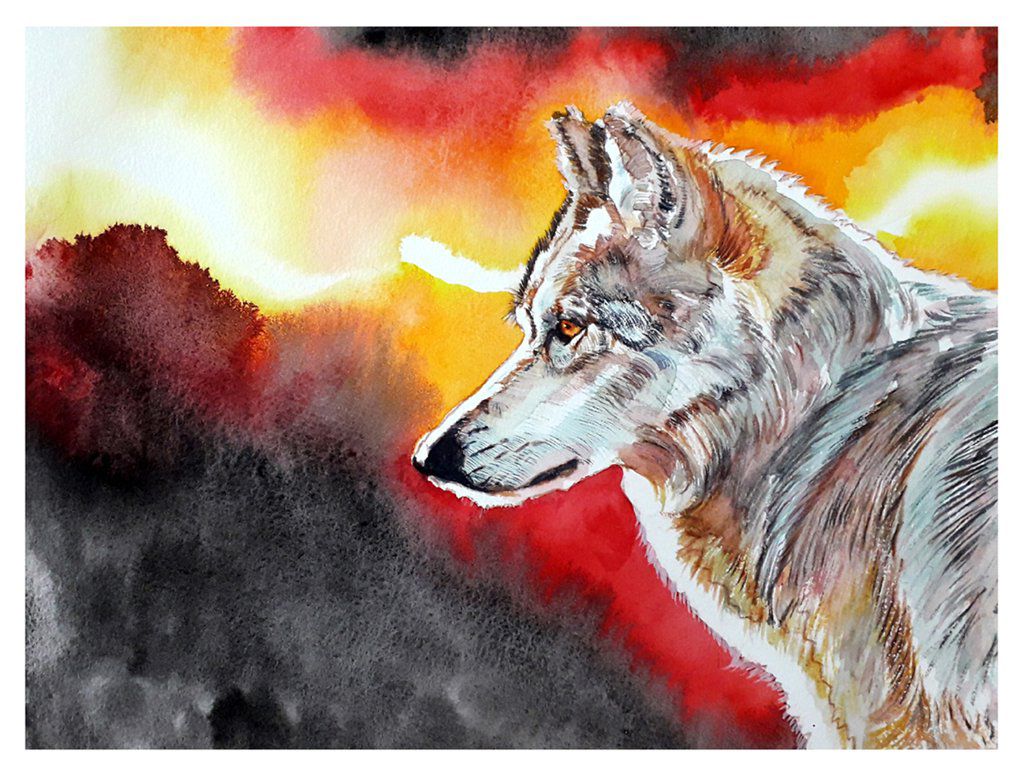 Loup - Grey Wolf - Watercolour on Arches paper -  12' X 16' (31 cmX 41 cm)