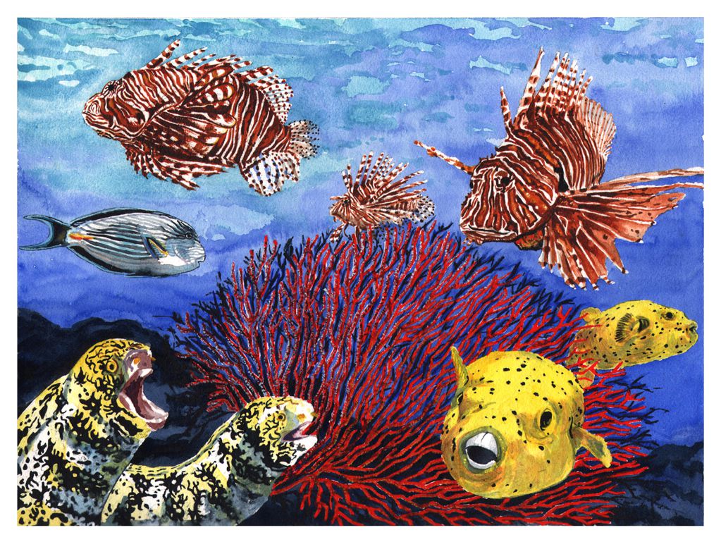 Oceanographic Museum - Dangers Underwater - Watercolour on Arches paper -  12' X 16' (31 cmX 41 cm)