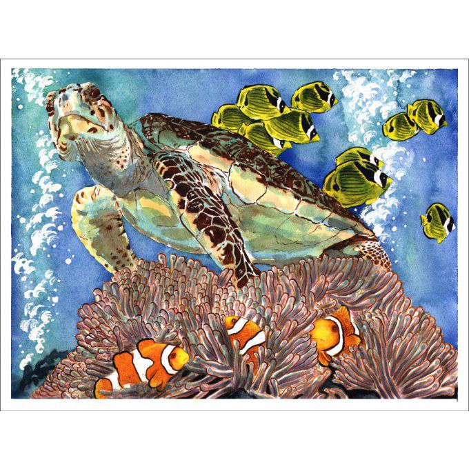 Tortue de mer et poissons clowns